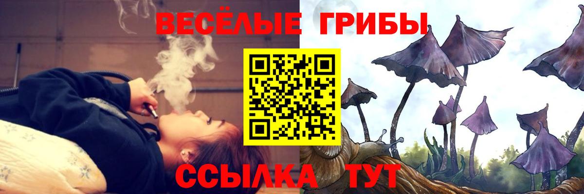 Галлюциногенные грибы Psilocybe  Вход с VPN  Сергиев Посад 